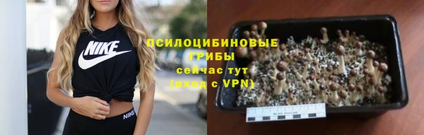 первитин Дмитриев