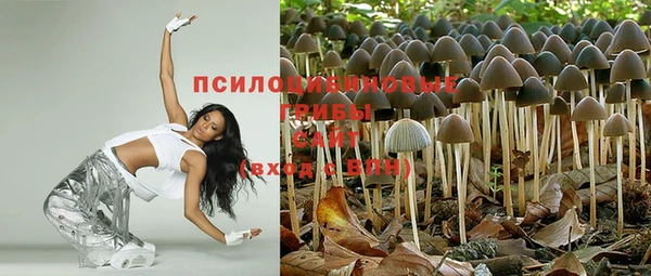 крисы Дмитров
