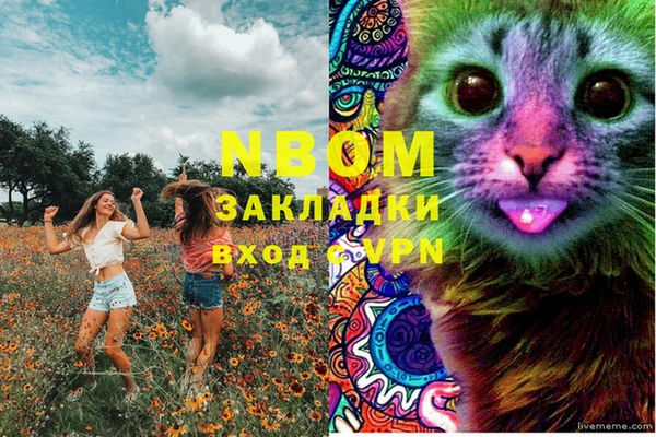 дурь Гусев