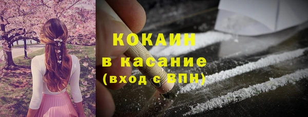 дживик Ельня